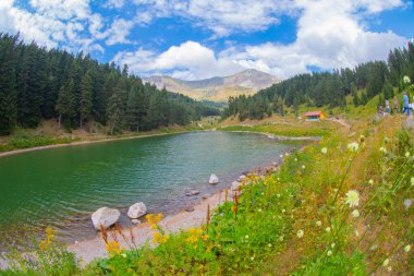Savsat 'ta arka planda Balık Gölü (Balikgol) bahar dağı