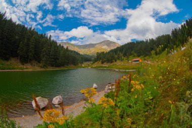 Savsat 'ta arka planda Balık Gölü (Balikgol) bahar dağı
