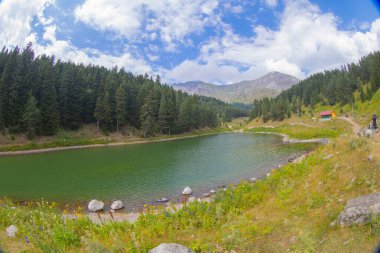 Savsat 'ta arka planda Balık Gölü (Balikgol) bahar dağı
