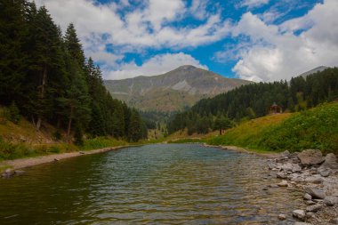 Savsat 'ta arka planda Balık Gölü (Balikgol) bahar dağı