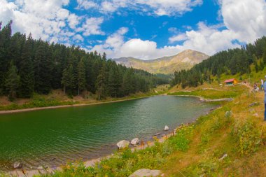 Savsat 'ta arka planda Balık Gölü (Balikgol) bahar dağı