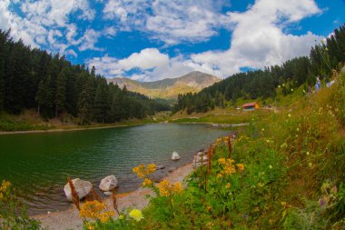 Savsat 'ta arka planda Balık Gölü (Balikgol) bahar dağı
