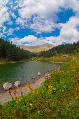 Savsat 'ta arka planda Balık Gölü (Balikgol) bahar dağı