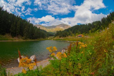 Savsat 'ta arka planda Balık Gölü (Balikgol) bahar dağı