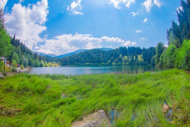 Karadeniz bölgesinde sabah buharlaşmasıyla Savsat Karagol Gölü. Savsat Karagol Gölü, Artvin ormanında büyük bir alabalık gölüdür.