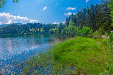 Karadeniz bölgesinde sabah buharlaşmasıyla Savsat Karagol Gölü. Savsat Karagol Gölü, Artvin ormanında büyük bir alabalık gölüdür.