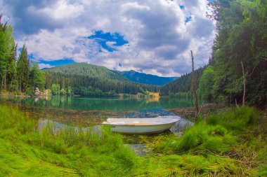 Karadeniz bölgesinde sabah buharlaşmasıyla Savsat Karagol Gölü. Savsat Karagol Gölü, Artvin ormanında büyük bir alabalık gölüdür.