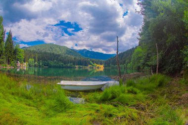 Karadeniz bölgesinde sabah buharlaşmasıyla Savsat Karagol Gölü. Savsat Karagol Gölü, Artvin ormanında büyük bir alabalık gölüdür.