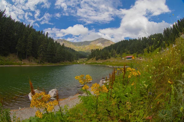 Lago Los Peces Balikgol Montaña Primavera Fondo Savsat — Foto de Stock