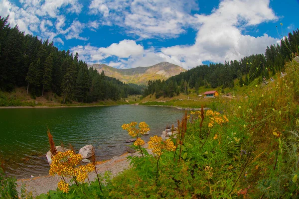 Savsat 'ta arka planda Balık Gölü (Balikgol) bahar dağı