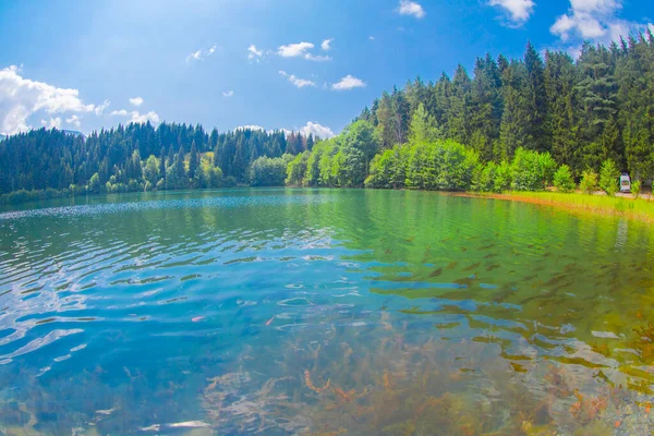 Savsat Karagol Black Lake Black Sea Region Morning Evaporation Savsat — Stock Photo, Image