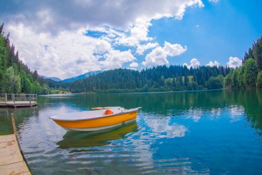 Karadeniz bölgesinde sabah buharlaşmasıyla Savsat Karagol Gölü. Savsat Karagol Gölü, Artvin ormanında büyük bir alabalık gölüdür.