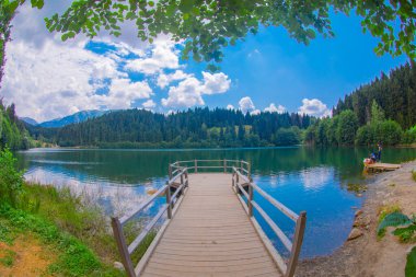 Karadeniz bölgesinde sabah buharlaşmasıyla Savsat Karagol Gölü. Savsat Karagol Gölü, Artvin ormanında büyük bir alabalık gölüdür.