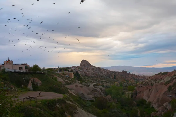 Pigeon Sits Sign Post Pigeon Valley Uchisar Cappadocia Region Turkey — Φωτογραφία Αρχείου