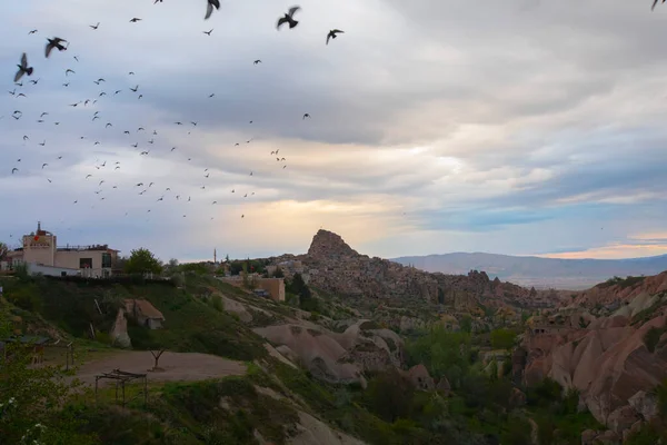 Голуб Сидить Стовпчику Над Долиною Голуба Учисарі Регіоні Каппадокія Туреччина — стокове фото