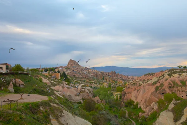 Pigeon Sits Sign Post Pigeon Valley Uchisar Cappadocia Region Turkey — Foto de Stock