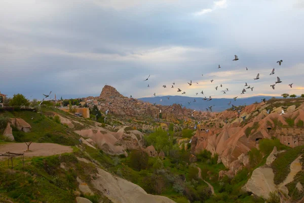 Голуб Сидить Стовпчику Над Долиною Голуба Учисарі Регіоні Каппадокія Туреччина — стокове фото
