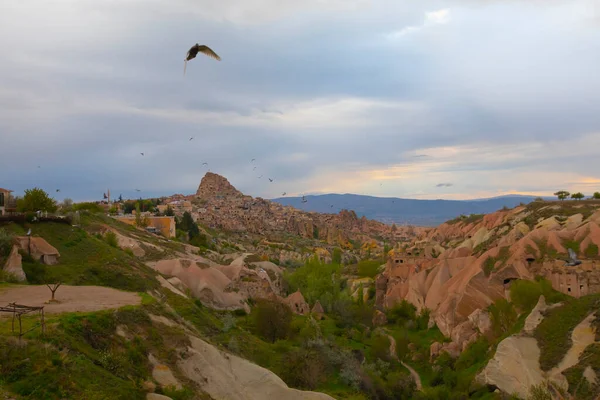 Pigeon Sits Sign Post Pigeon Valley Uchisar Cappadocia Region Turkey — Foto de Stock