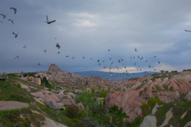  Türkiye 'nin Kapadokya bölgesindeki Uchisar' da bir bahar günü Güvercin Vadisi 'nin yukarısında bir tabela direğinde bir güvercin oturuyor.