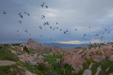  Türkiye 'nin Kapadokya bölgesindeki Uchisar' da bir bahar günü Güvercin Vadisi 'nin yukarısında bir tabela direğinde bir güvercin oturuyor.