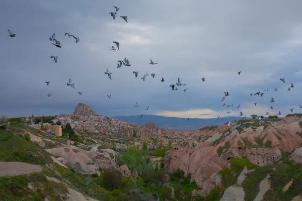 A pigeon sits on a sign post above Pigeon Valley at Uchisar in the Cappadocia region of Turkey on a spring day.