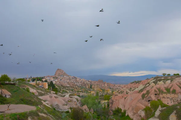 Pigeon Sits Sign Post Pigeon Valley Uchisar Cappadocia Region Turkey — 스톡 사진