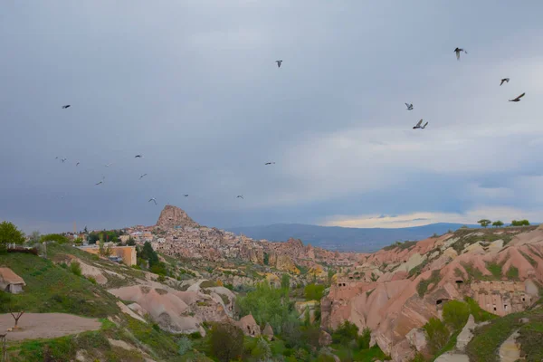 Pigeon Sits Sign Post Pigeon Valley Uchisar Cappadocia Region Turkey — Φωτογραφία Αρχείου