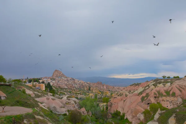 A pigeon sits on a sign post above Pigeon Valley at Uchisar in the Cappadocia region of Turkey on a spring day.