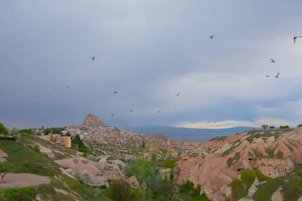 Una Paloma Sienta Poste Sobre Valle Paloma Uchisar Región Capadocia — Foto de Stock