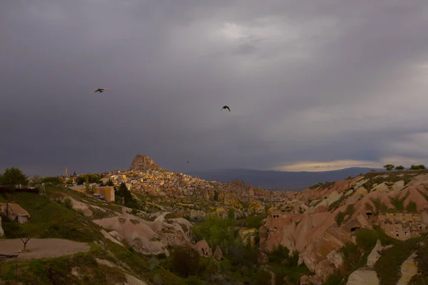 Pigeon Sits Sign Post Pigeon Valley Uchisar Cappadocia Region Turkey — 스톡 사진