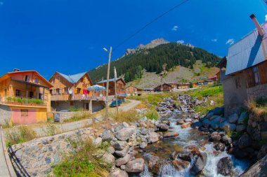 Kackar Dağları Ulusal Park Elevit Platosu