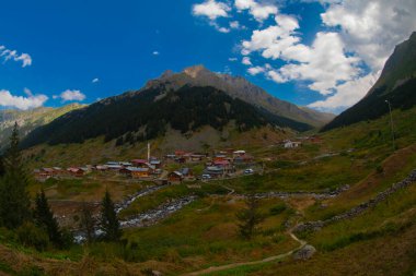 Kackar Dağları Ulusal Park Elevit Platosu