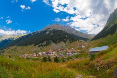 Kackar Dağları Ulusal Park Elevit Platosu