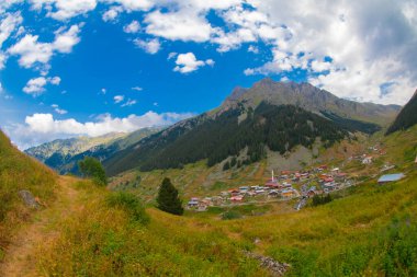 Kackar Dağları Ulusal Park Elevit Platosu
