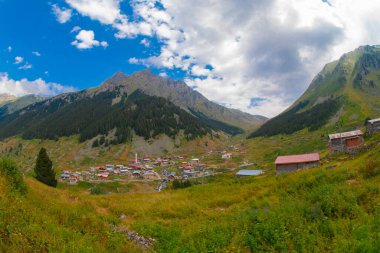 Kackar Dağları Ulusal Park Elevit Platosu