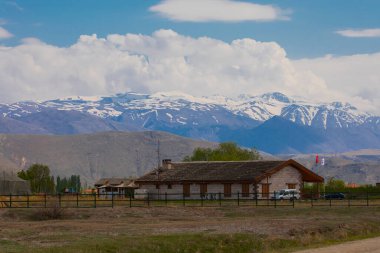 Yilki atları nehirde koşuyor. Kayseri Türkiye 'deki Hormetci villasındaki Yilki atları. Sahibi olmayan yabani atlar.