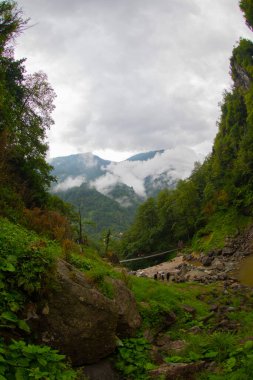 Mencuna Şelalesi. Doğu Karadeniz 'in en görkemli şelalelerinden biridir. Türkiye şelaleleri. Artvin Arhavi ilçesi, Türkiye