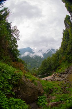 Mencuna Şelalesi. Doğu Karadeniz 'in en görkemli şelalelerinden biridir. Türkiye şelaleleri. Artvin Arhavi ilçesi, Türkiye