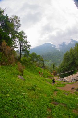 Mencuna Şelalesi. Doğu Karadeniz 'in en görkemli şelalelerinden biridir. Türkiye şelaleleri. Artvin Arhavi ilçesi, Türkiye