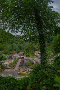 Yeşilin ortasında harika manzarası olan tarihi Ortacalar Çift Köprüler.
