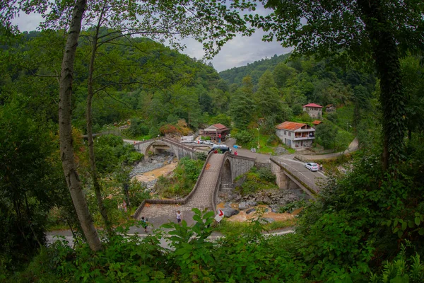 Yeşilin ortasında harika manzarası olan tarihi Ortacalar Çift Köprüler.