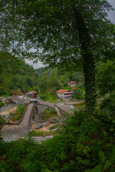 Historical Ortacalar Double Bridges Wonderful View Middle Green — Stockfoto