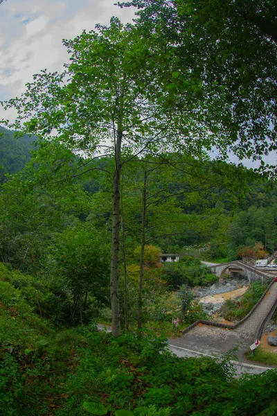 Storico Ortacalar Double Bridges Con Una Splendida Vista Mezzo Verde — Foto Stock