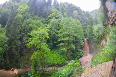 Çok gizli yüzme yerleri. Palovit Şelaleleri Rize şehrinde hindi içinde. Harika bir turistik seyahat yeri.