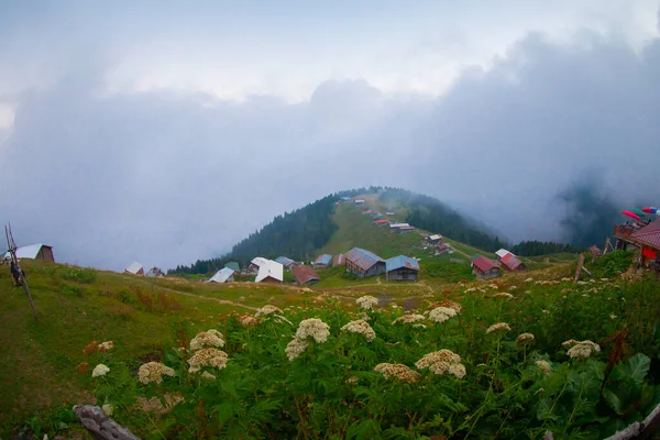 Pokut Plateau Rize Camlihemsin Pokut Plateau Чорному Морі Туреччині Ріс — стокове фото