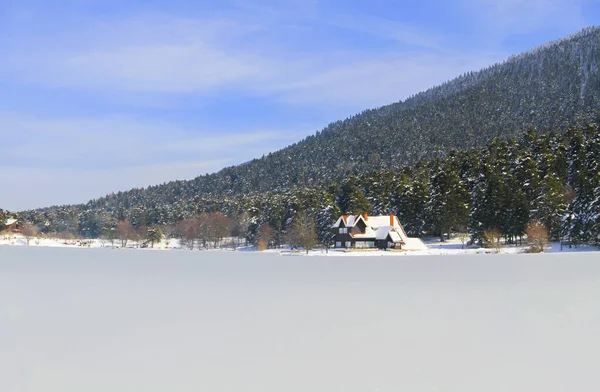 Lake Wooden House Snowy Winter Day Forest Bolu Glck National — Stockfoto