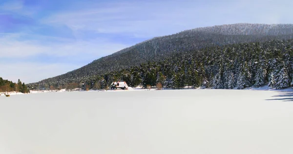 Lake Wooden House Snowy Winter Day Forest Bolu Glck National — стокове фото