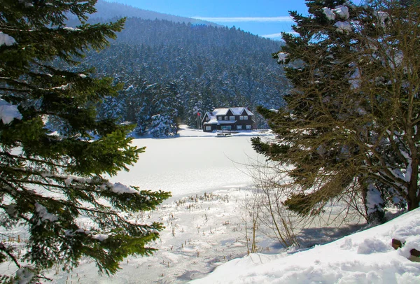 Lake Wooden House Snowy Winter Day Forest Bolu Glck National — Stock Fotó