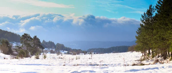 Bozcaarmut Pond Panoramic View Shot — Foto de Stock