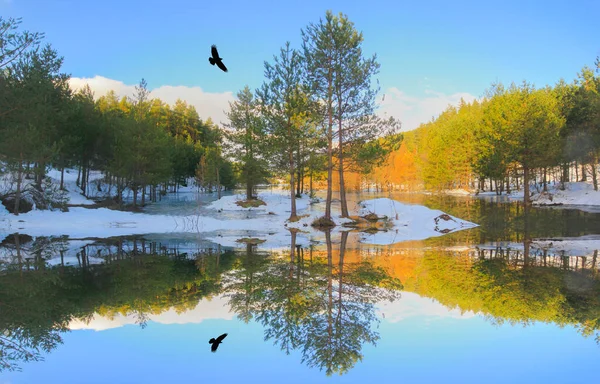 Bozcaarmut Pond Panoramic View Shot — 스톡 사진